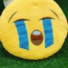 Emoji Pillow