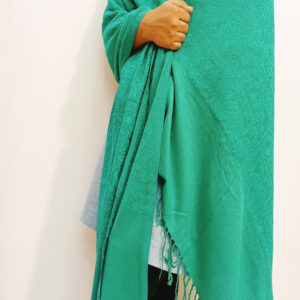 Indian Kashmiri Shawl