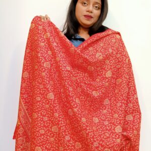 Indian Kashmiri Shawl